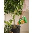 thumbnail image 3 of Miracle-Gro Shake 'N Feed Continuous Release Citrus, Avocado & Mango Plant Food 4.5 lb., 3 of 6
