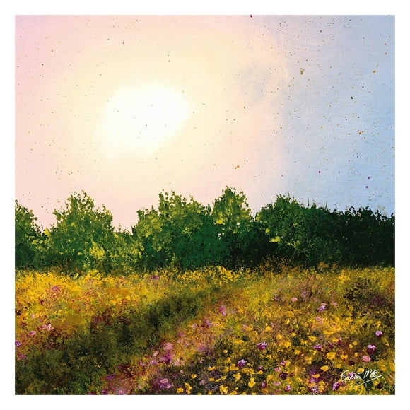 Siobhan McEvoy Wildflower Meadow Canvas Print