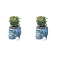 thumbnail image 1 of Pantalones maceta Inteprter Jeans Retro ropa planta cultivo balcón jardín decoración CBP593053, 1 of 6