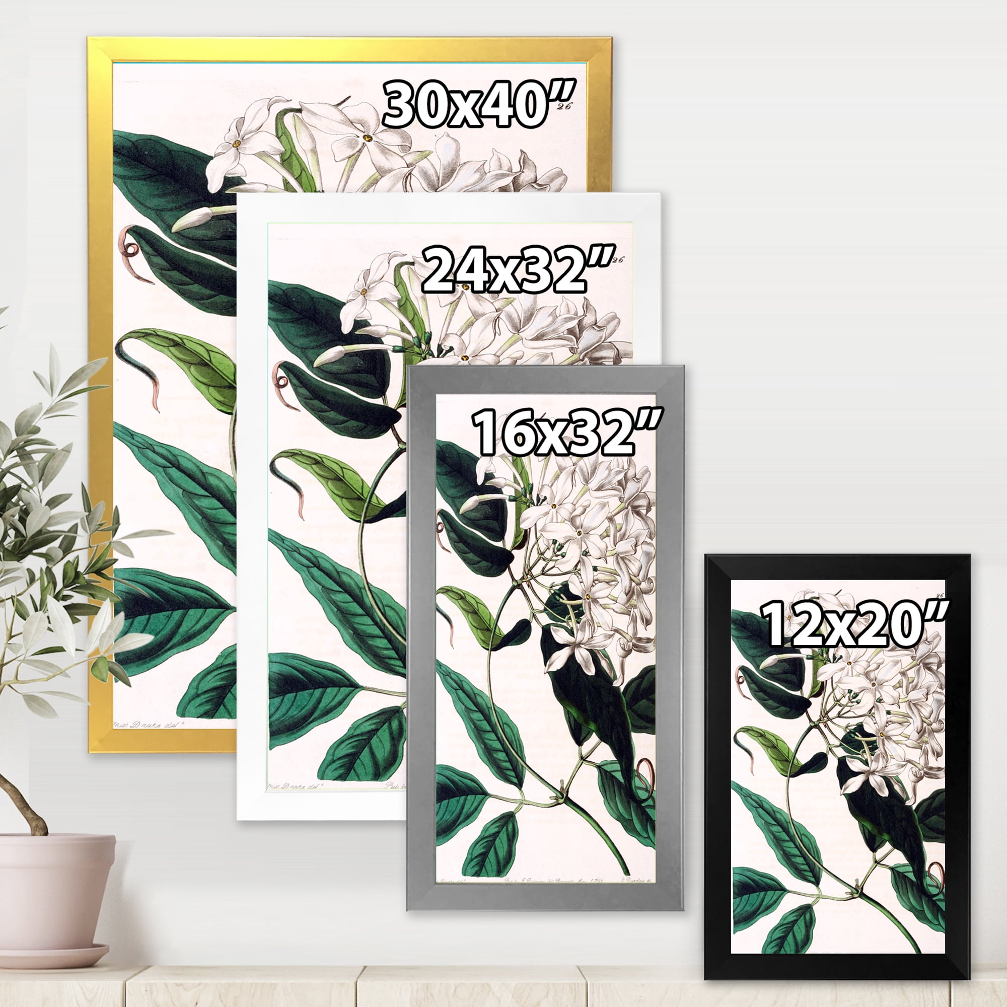 Designart 'Ancient Plant Life XXIV' Traditional Framed Art Print