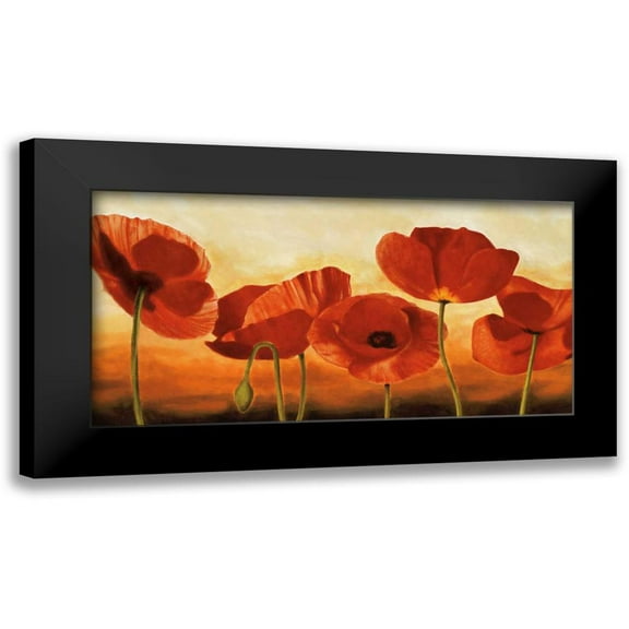 Kahn, Andrea 14x9 Black Modern Framed Museum Art Print Titled - In the Sun