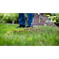 thumbnail image 3 of Scotts Turf Builder Terre à Pelouse Enrichie - 28,3L, 3 of 6