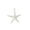 White-WH-home supplies, variant on ABPWLY Home Iron Starfish Christmas Ornament White Silver Window Tree Topper Decoration for Closet Atrium Holiday Party Decor 7.87x5.91 Inch Home Decor