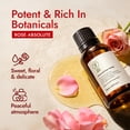 thumbnail image 3 of H'ana Rose Essential Oil - 100% Pure, Natural Essential Oil for Skin, Hair & Aromatherapy Diffuser - Sweet, Fresh Floral Scent Like Real Roses - Mother's Day Gift for Love & Beauty (1 Fl Oz), 3 of 6