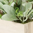 thumbnail image 5 of Puleo International 11 in. Lambs Ear Centerpiece with Twigs & Greenery Leaves in Wood Planter, 5 of 5