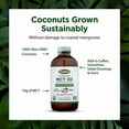 thumbnail image 4 of Flora - Organic MCT Oil made from Ethically and Sustainably Sourced Coconuts - 8.5 oz Liquid - Amber Glass Bottle, 4 of 7