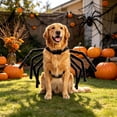 thumbnail image 6 of Pet Halloween Spider Costume for Large Dogs XXL Size, Creepy Black Furry Spider Cosplay Dress Up with 8 Long Legs, Funny Pet Party Outfit for Golden Retriever, 6 of 6