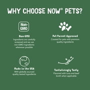 NOW Pet Health, L-Lysine Supplement, Powder, Formulated for Cats, NASC Certified, 8-Ounce