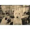 thumbnail image 3 of Fielding, Edward M. 14x11 Black Modern Framed Museum Art Print Titled - Singles Night, 3 of 5