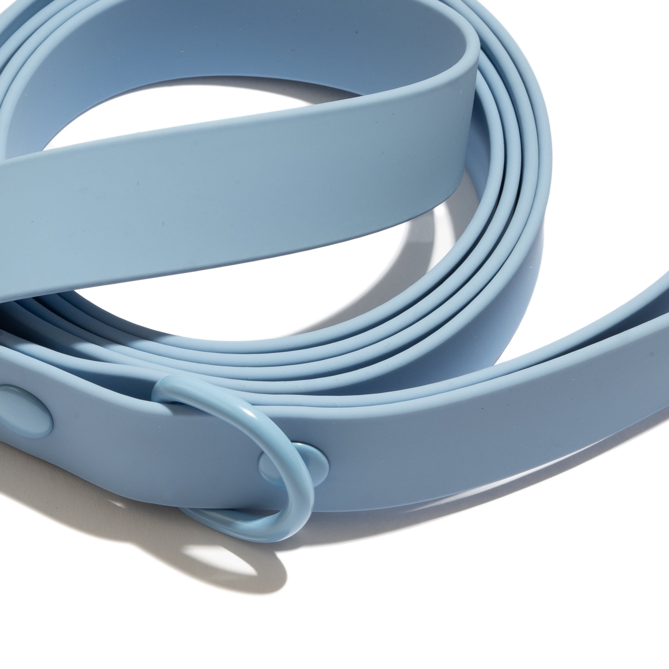 Vibrant Life Standard Dog Leash, 6 ft, Polyester and Nylon, Blue