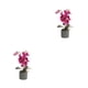 thumbnail image 4 of Orquídea artificial bonsái en maceta Toystoory Phalaenopsis Color brillante Púrpura, 4 of 6