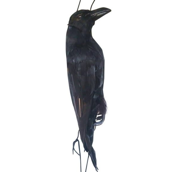 Extra Large Realistic Dead Crow Decoy - 17" Lifesize Hanging Bird Deterrent for Gardens, Farms & Pest Control