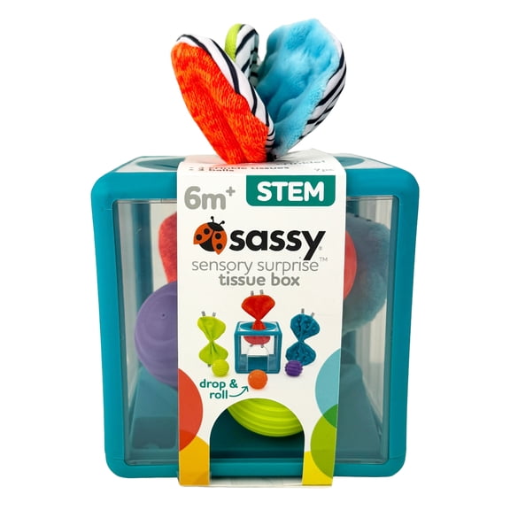 Sassy Sensory Surprise Tissue Box