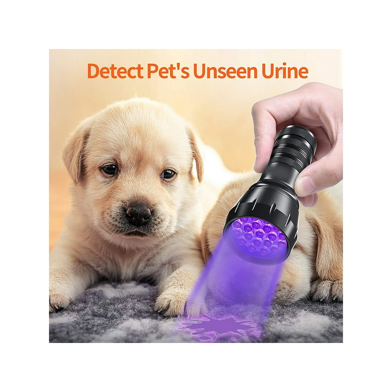 can a black light detect dog urine