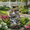 Gray-6, variant on 23.6'' Bear Outdoor Water Fountain with LED Lights,Cascading Resin Garden Waterfall Fountain with Pump, Cute Animal Water Feature for Patio Yard Backyard Balcony Decor,Brown+Gray