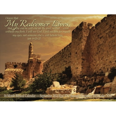 Forty-Two Months and Ten Toes : A Dramanalysis of The Perfect Jewish