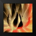 thumbnail image 2 of Hartson-Weddle, Ryan 20x20 Black Modern Framed Museum Art Print Titled - Aloe in the Sun III, 2 of 5