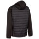 thumbnail image 2 of Trespass - Chaqueta Darwood de TP50 Activo para Hombre (Negro) Trespass UTTP5876_black, 2 of 2