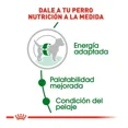 thumbnail image 2 of Croquetas para Perro Royal Canin Adulto Razas Pequeñas 6.3 Kg, 2 of 6