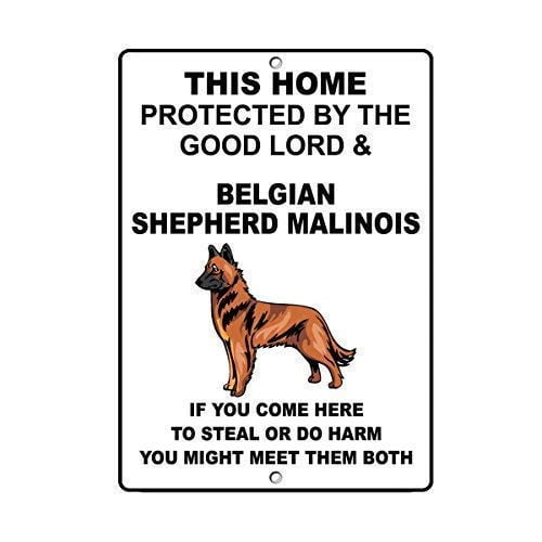 Belgian Shepherd Malinois Dog Home Protected by Good Lord and Novelty Metal Sign Warning Metal Sign (Aluminum) Size: 8 x 12 inch