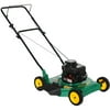 Weed Eater 300 Series 20" Side Discharge Gas Lawn Mower (Not for Sale in CA)