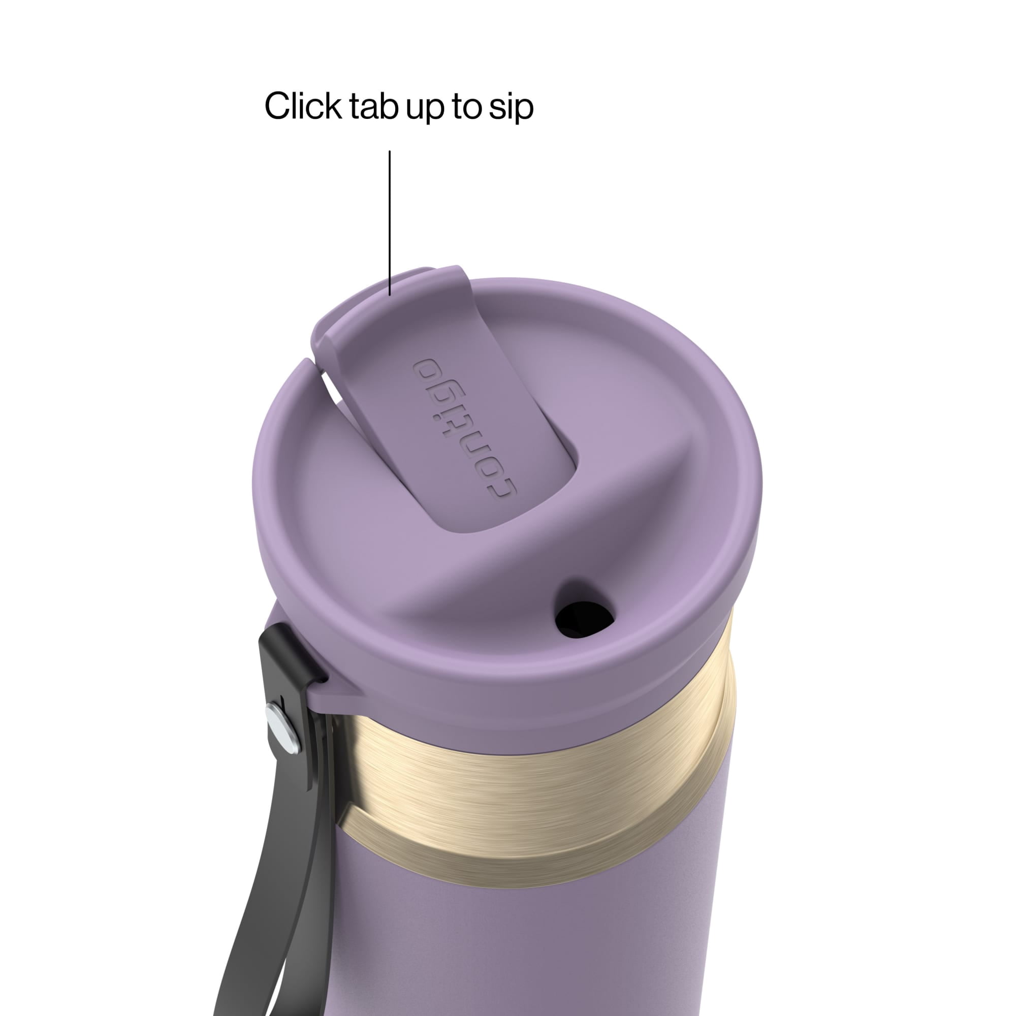 Contigo SnapSeal Leakproof Stainless Steel Reusable Water Bottle with Carrying Strap, Purple/Champagne, 24 oz