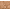 ALMOND, variant on "Palladio BUILD + BLEND Foundation Stick, Contour Stick for Face, Professional Makeup for Perfect Look, 0.25 Ounce (Porcelain)"