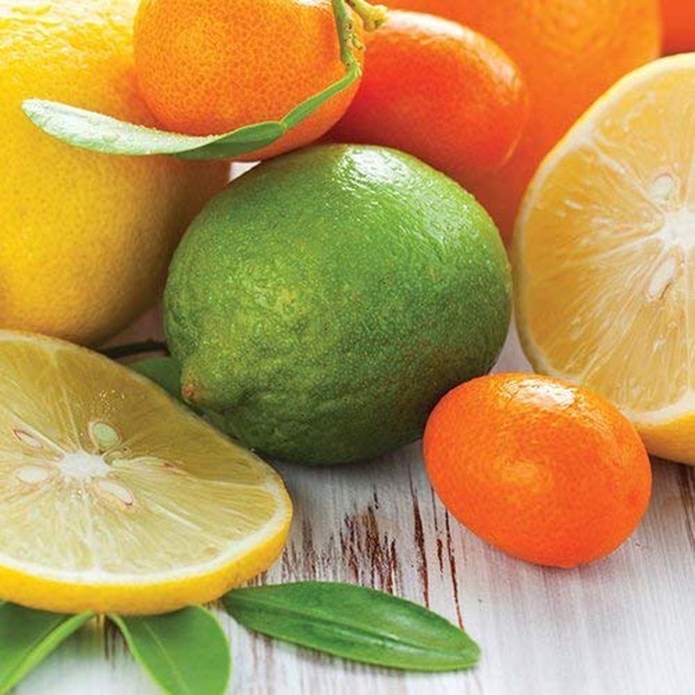 2.5 oz Wax Fragrance Melt Tart, Sugared Citrus (Pack of 8)