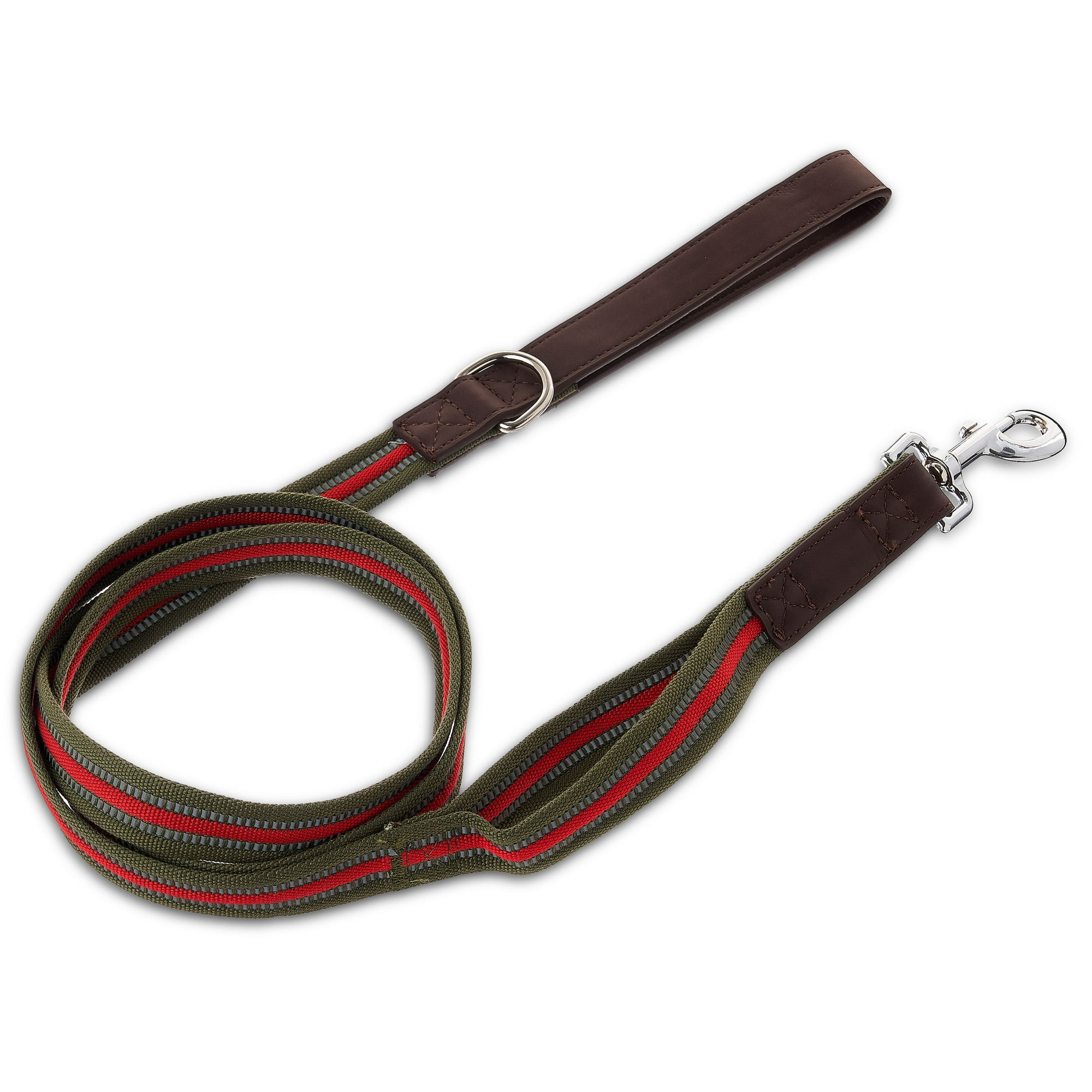 Vibrant Life 6' Reflective Leash, Olive, L