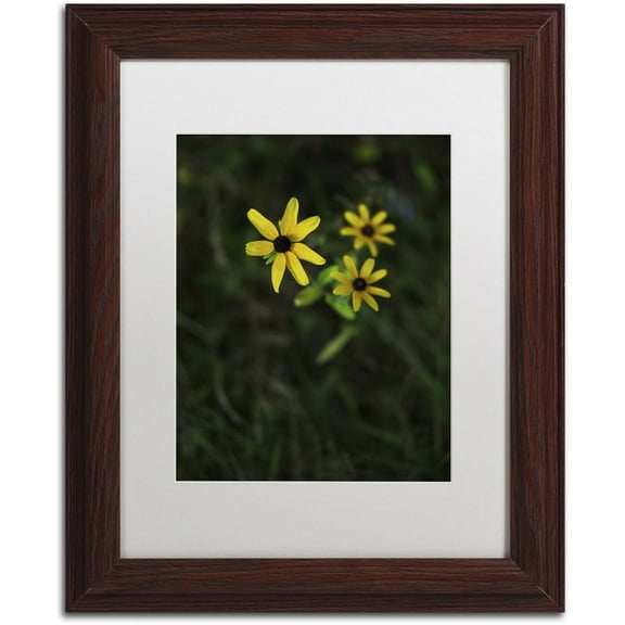 Trademark Fine Art "Brown-Eyed Susan" Canvas Art by Kurt Shaffer, White Matte, Wood Frame