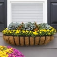 thumbnail image 2 of Expert Gardener 1.0PT Yellow Mum Live Plant in Grower Pot Full Sun, 2 of 7