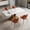 Orange, variant on Dining Room Chairs Set of 2, Modern Upholstered Dining Chairs with PU Leather Seat, Sturdy Metal Frame for Kitchen Dining Table Living Room, White Chairs