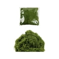 thumbnail image 2 of Musgo Artificial 500g | Musgo plástico verde realista para bonsái, decoración de plantas en maceta, jardinería, manualidades DIY | Textura de líquenes | 20x20x10cm | Exposición versátil de oficinas, 2 of 8