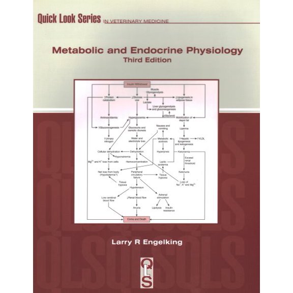 Pre-Owned Quick Look: Metabolic and Endocrine Physiology (Paperback)