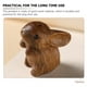 thumbnail image 2 of Colgante de conejo de madera del zodiaco, colgante de conejo de madera para teléfono, colgante de conejo, llavero, 2 of 8