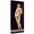thumbnail image 1 of 30 in. Venus Pudica Art Print - Sandro Botticelli, 1 of 1