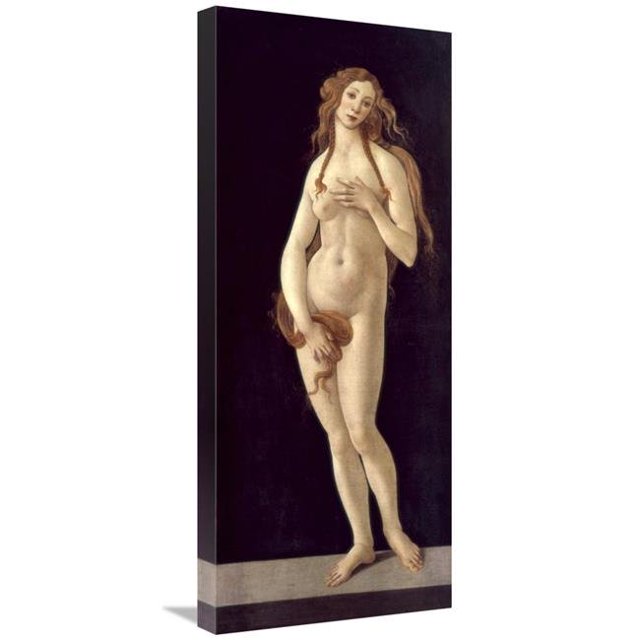 30 in. Venus Pudica Art Print - Sandro Botticelli