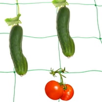 Uxcell Trellis Netting for Climbing Plants 6 x 6ft 27 Strands Heavy Duty Garden Trellis Netting Polyethylene Plant Support Net with 4" x 4" Mesh for Fruits Vegetables Cucumber