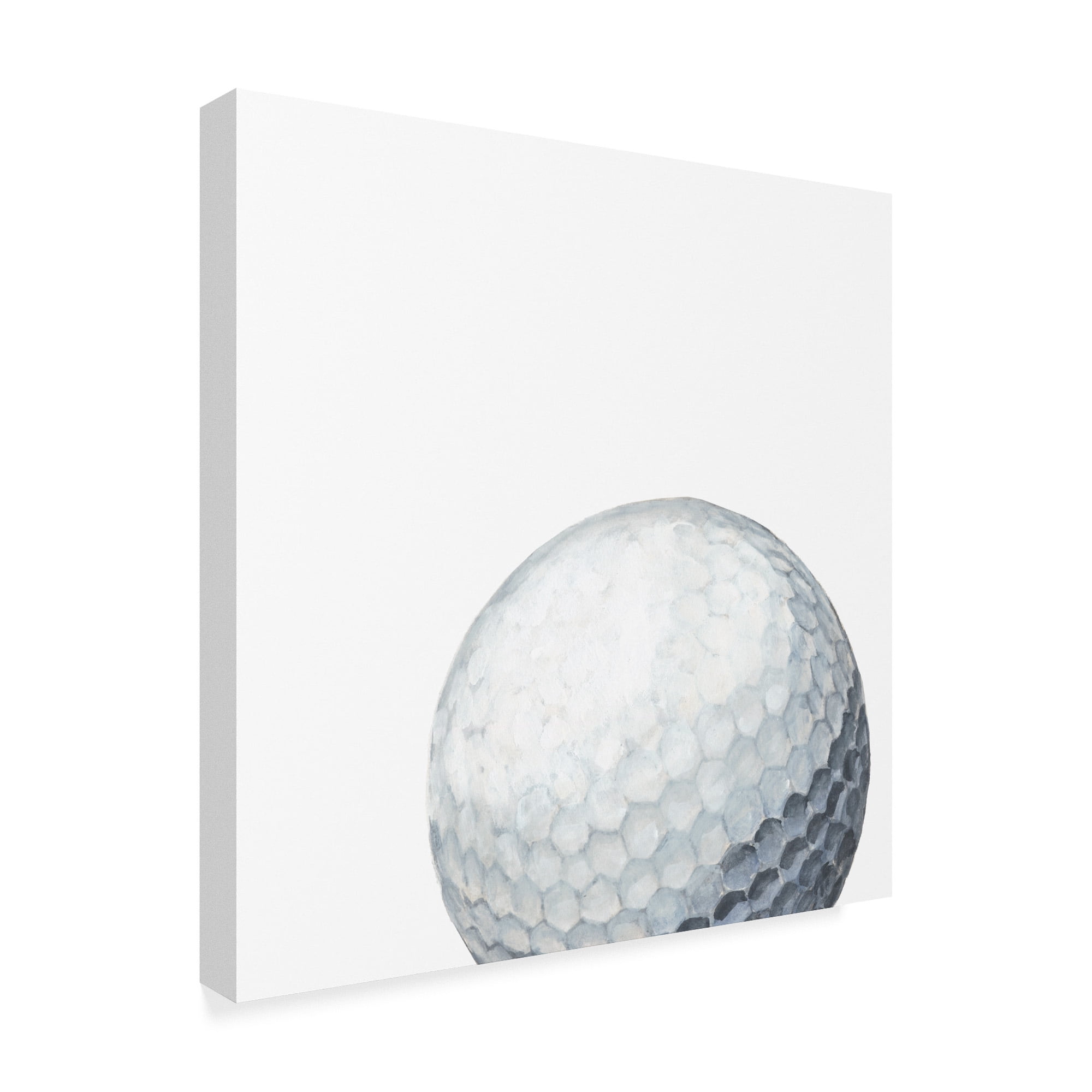 Trademark Fine Art 'Sporting XI' Canvas Art by Naomi McCavitt