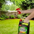 thumbnail image 4 of Spectracide Triazicide Insect Killer For Lawns & Landscapes, Ready-to-Use, 1-gallon, 4 of 11
