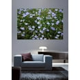 thumbnail image 2 of Clark Flowers Wall Decal, 2 of 2