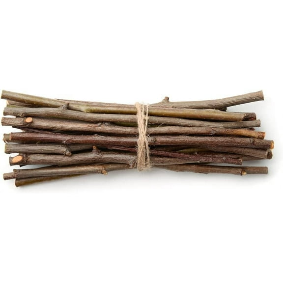 Willow Mega Munch Sticks for Rabbits Chinchilla Guinea Pigs 20 Sticks