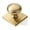 Brushed Brass, variant on 2 Pack 1-1/2 Inch Diameter Antique Brass Cabinet knobs with Backplate,Vintage Backplate for Cabinet knobs and Drawer knobs, Bi-Fold Door Knobs