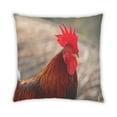 thumbnail image 2 of Ahgly Company Animals Chicken Outdoor Throw Pillow, 18 inch by 18 inch, 2 of 6