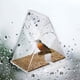 thumbnail image 3 of Clear Window Bird Feeder with Strong Suction Cups for Outside, Acrylic Triangle Square Bird House for Hanging, Large Outdoor, 3 of 5