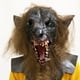 thumbnail image 2 of Máscara de látex de hombre lobo aterradora y realista para Halloween, 2 of 5