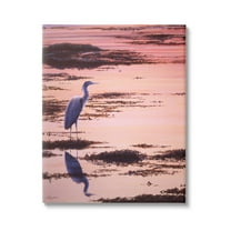 Stupell Industries Crane Bird in Sunrise Marsh Coastal Photography Gallery Wrapped Canvas Print Wall Art