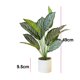 thumbnail image 2 of Planta de banyan artificial, planta en maceta blanca, regalo perfecto para inauguración de la casa., 2 of 5