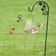 thumbnail image 4 of Comedero para pájaros de acrílico transparente con ventosas, bandeja extraíble para semillas Sincero Electrónica, 4 of 5