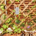 thumbnail image 4 of OUNONA Rustic Orange Iron Hanging Planter Box for Outdoor Fence, Railings, Wall Mount - Garden Decor, 4 of 7